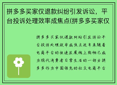 拼多多买家仅退款纠纷引发诉讼，平台投诉处理效率成焦点(拼多多买家仅退款申请质量问题怎么办)
