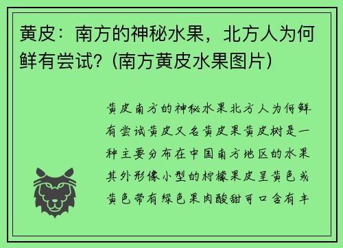 黄皮：南方的神秘水果，北方人为何鲜有尝试？(南方黄皮水果图片)